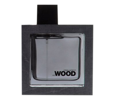 Dsquared2 He Wood Silver Wind Wood 106741
