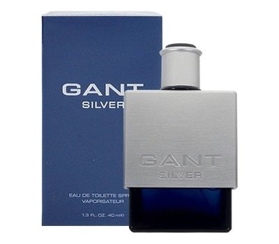 Gant Silver 109085