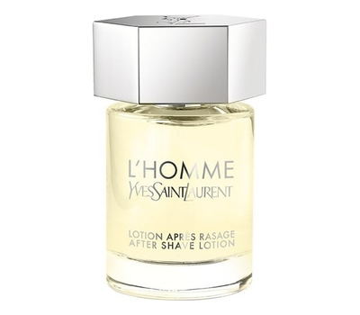 YSL L'Homme 120176