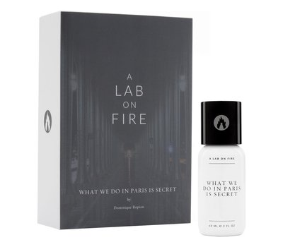 A Lab on Fire What We Do In Paris Is Secret 141477