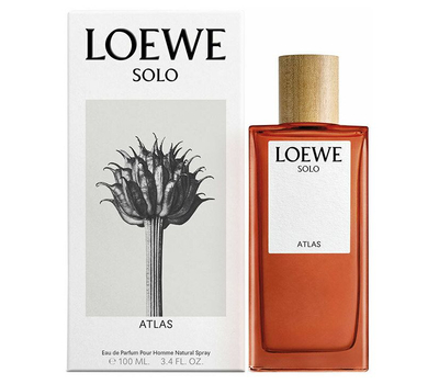 Loewe Solo Atlas 218431